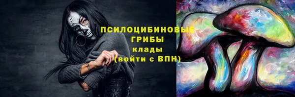 индика Магадан
