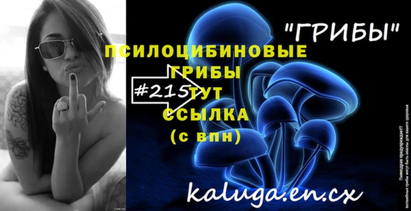 спайс Магас