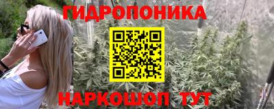 мдма Заводоуковск