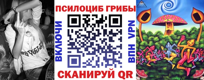 Псилоцибиновые грибы MAGIC MUSHROOMS  как найти закладки  Мценск 