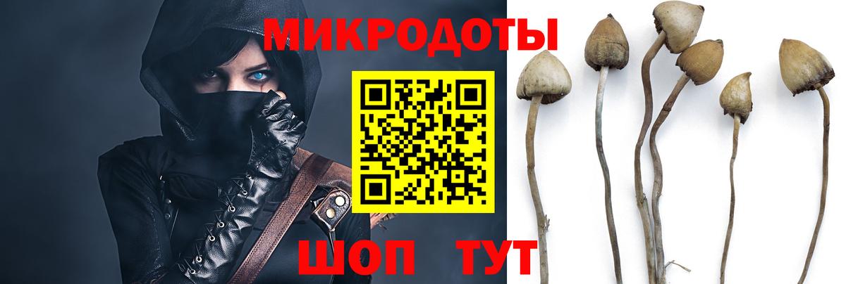 Мценск  Галлюциногенные грибы мухоморы  Вход с VPN 